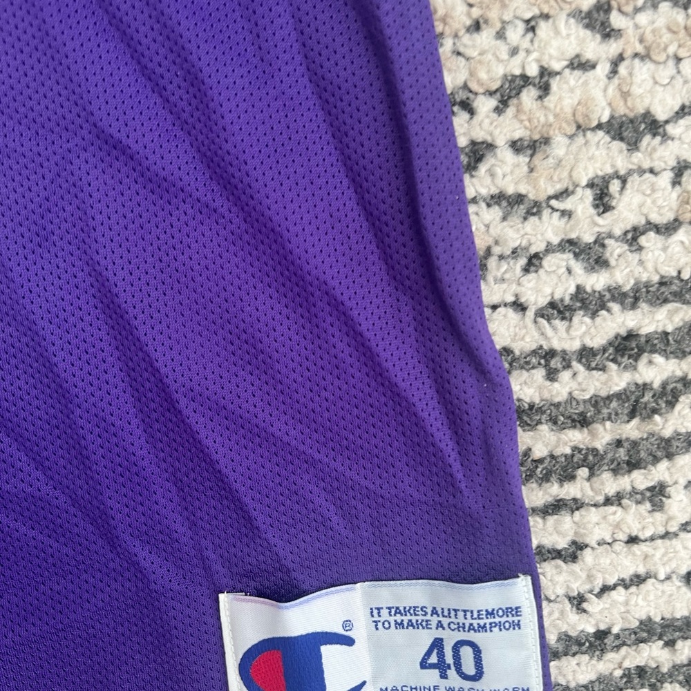 ‼️VINTAGE NICK VAN EXEL CHAMPION JERSEY‼️ - Picture 4 of 6